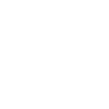 White speedometer icon