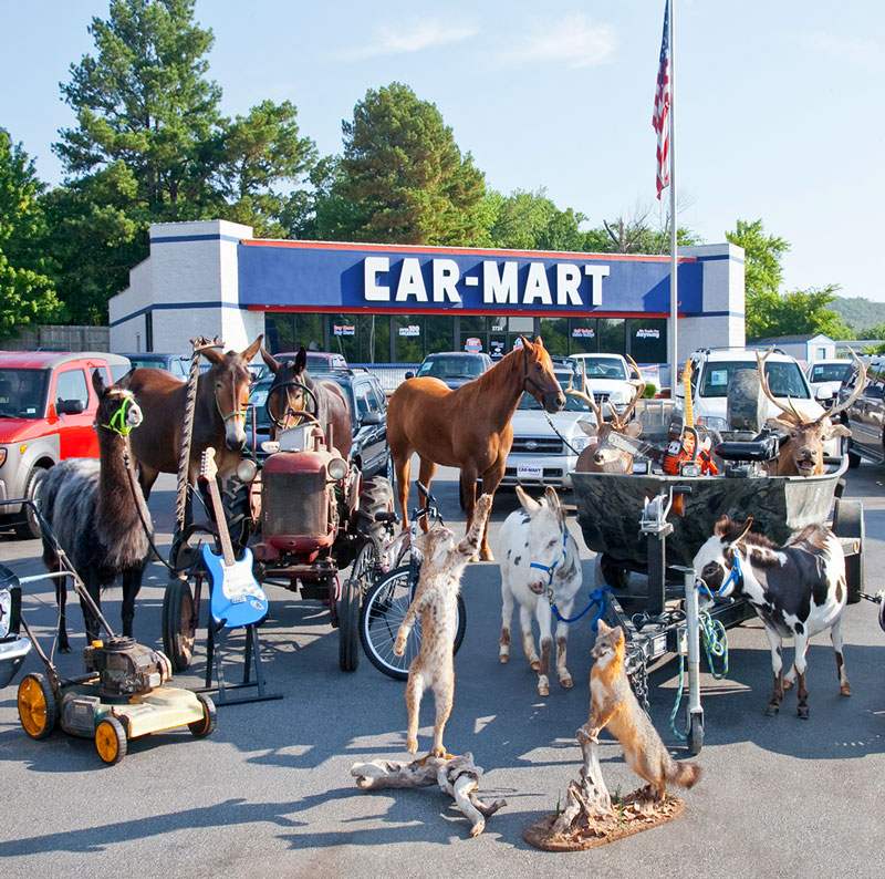 Car-Mart lot full of animals, lawnmower, boat, instruments