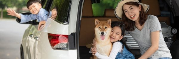 6 Tips for Traveling Safely with Your Pets