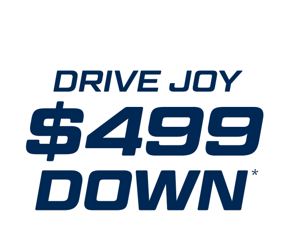 Annual Holiday Toy Drive